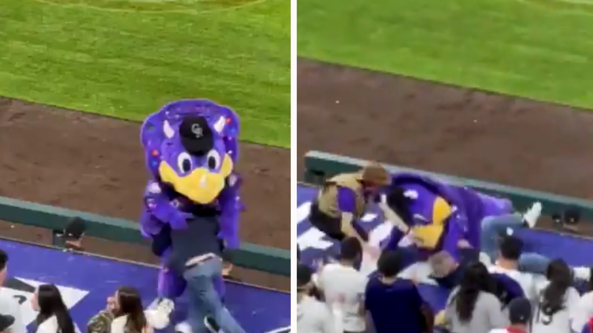 Moment a man brutally tackled mascot during Colorado Rockies game