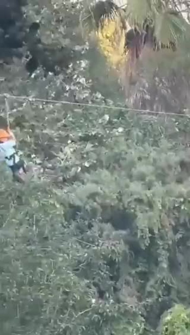 6 Year old Child falls from a 40ft Zipline
