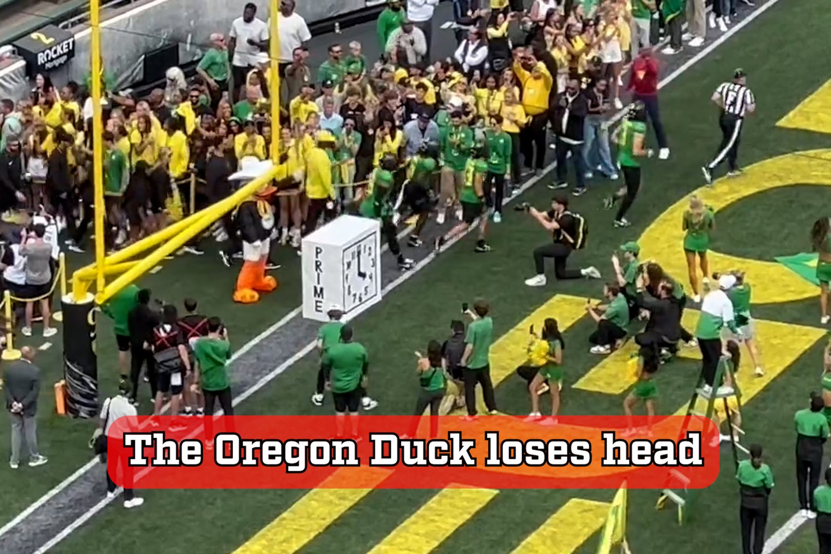 Oregon Ducks mascot loses head in game vs. Colorado Buffaloes
