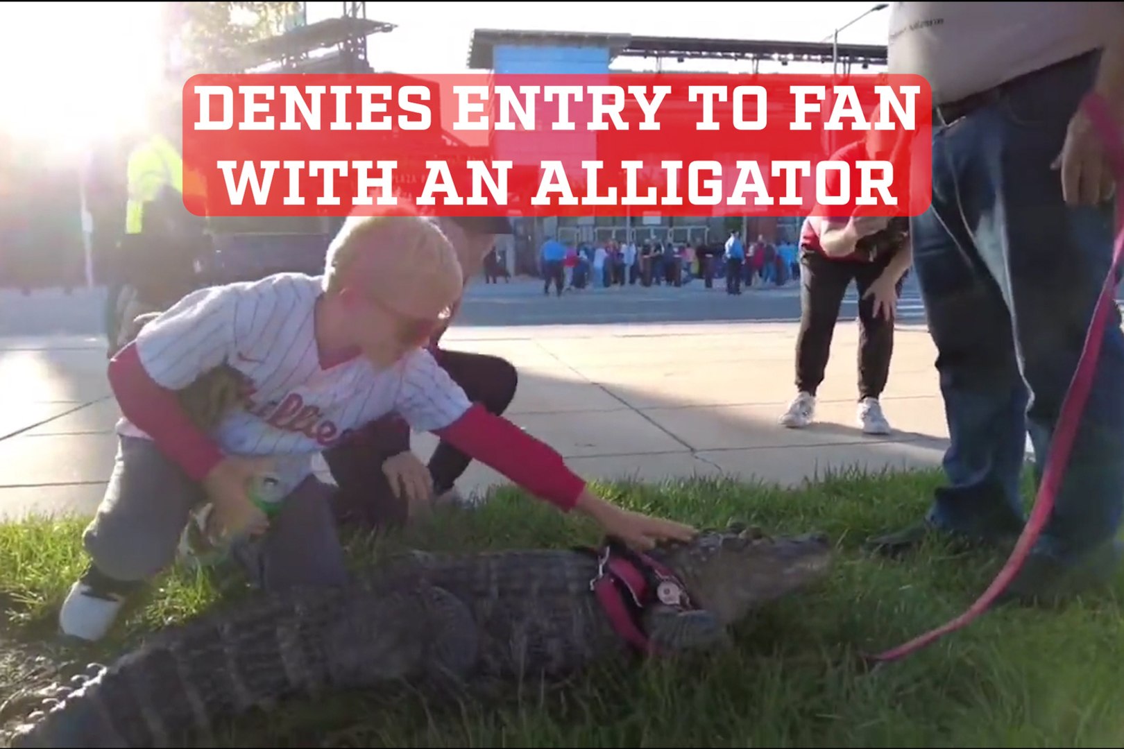 Man with emotional support gator denied entry to Phillies-Pirates game