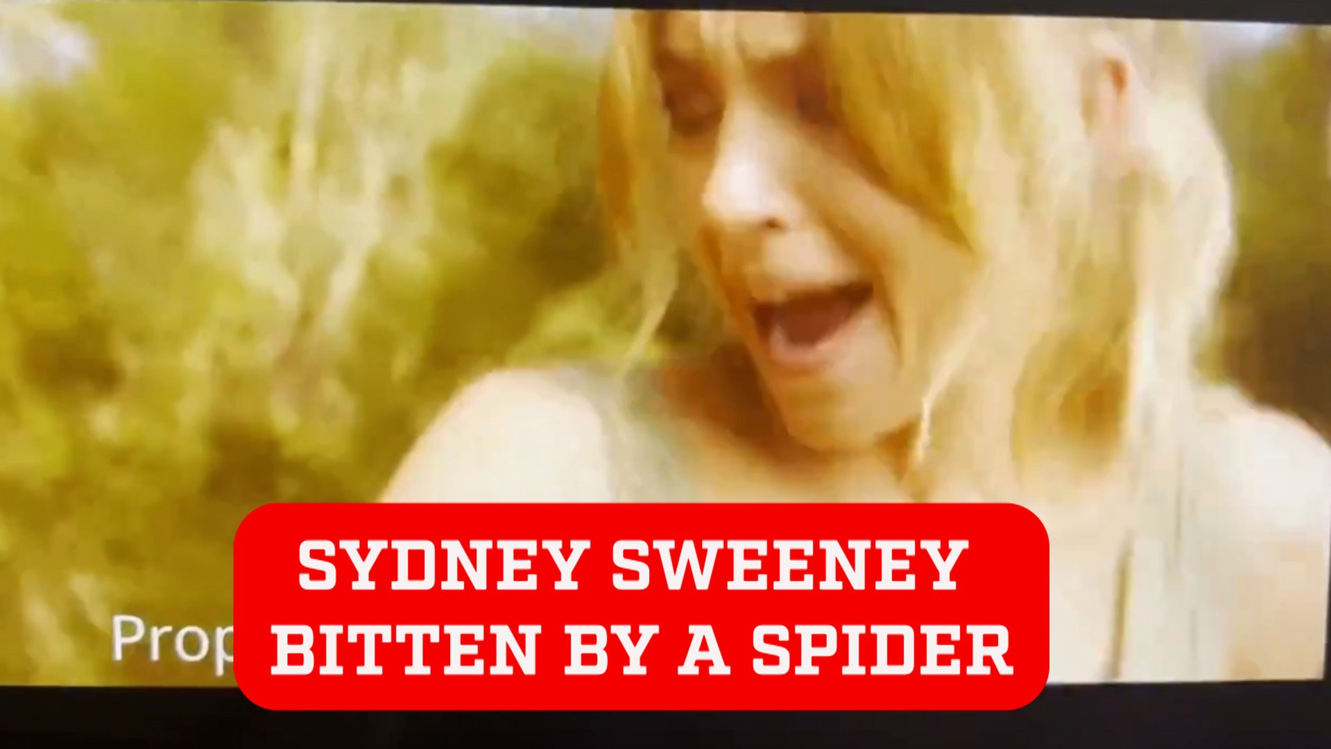 Sydney Sweeney gets bitten by a spider live on set