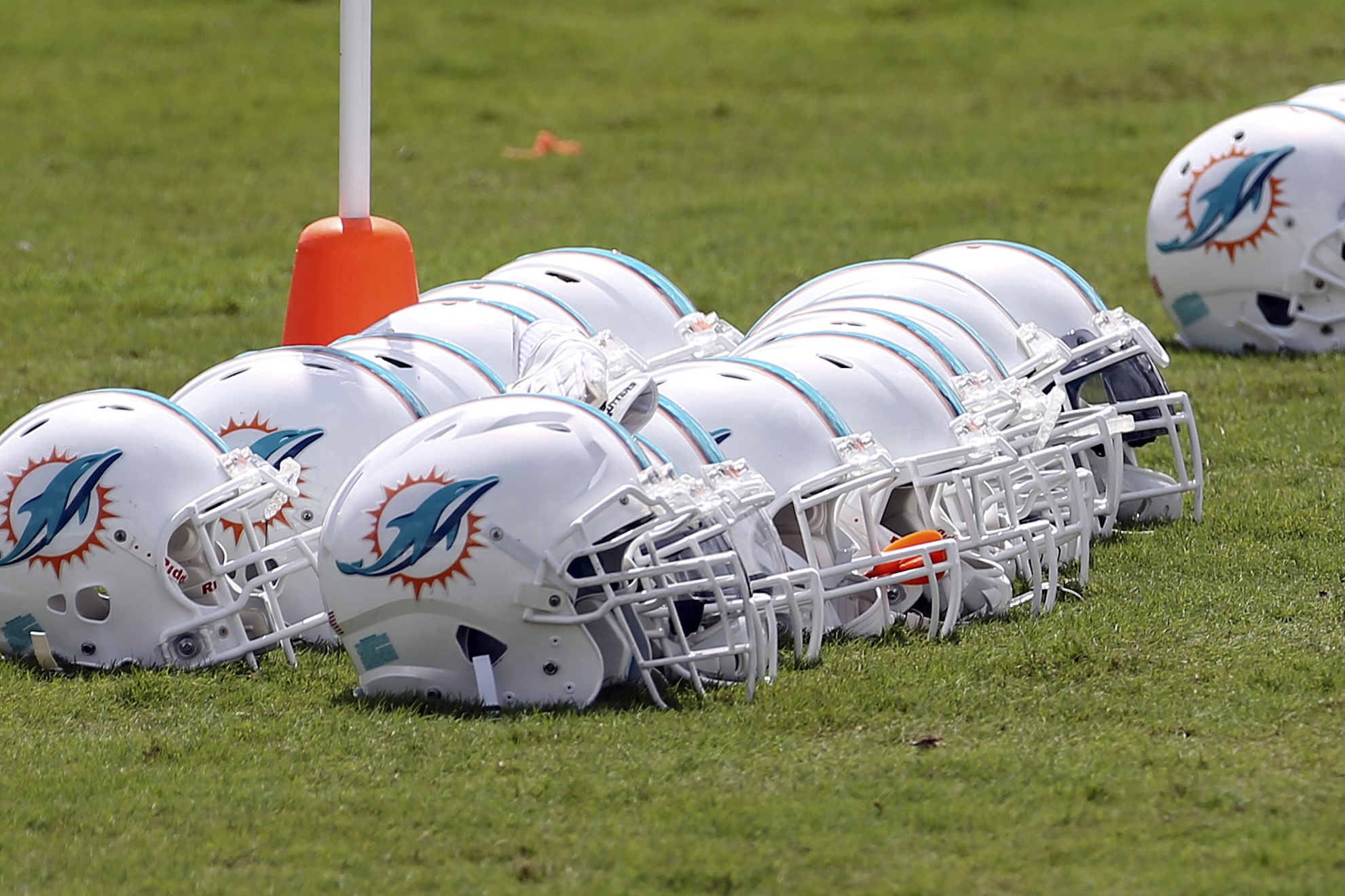 Rows of Miami Dolphins helments LaPresse