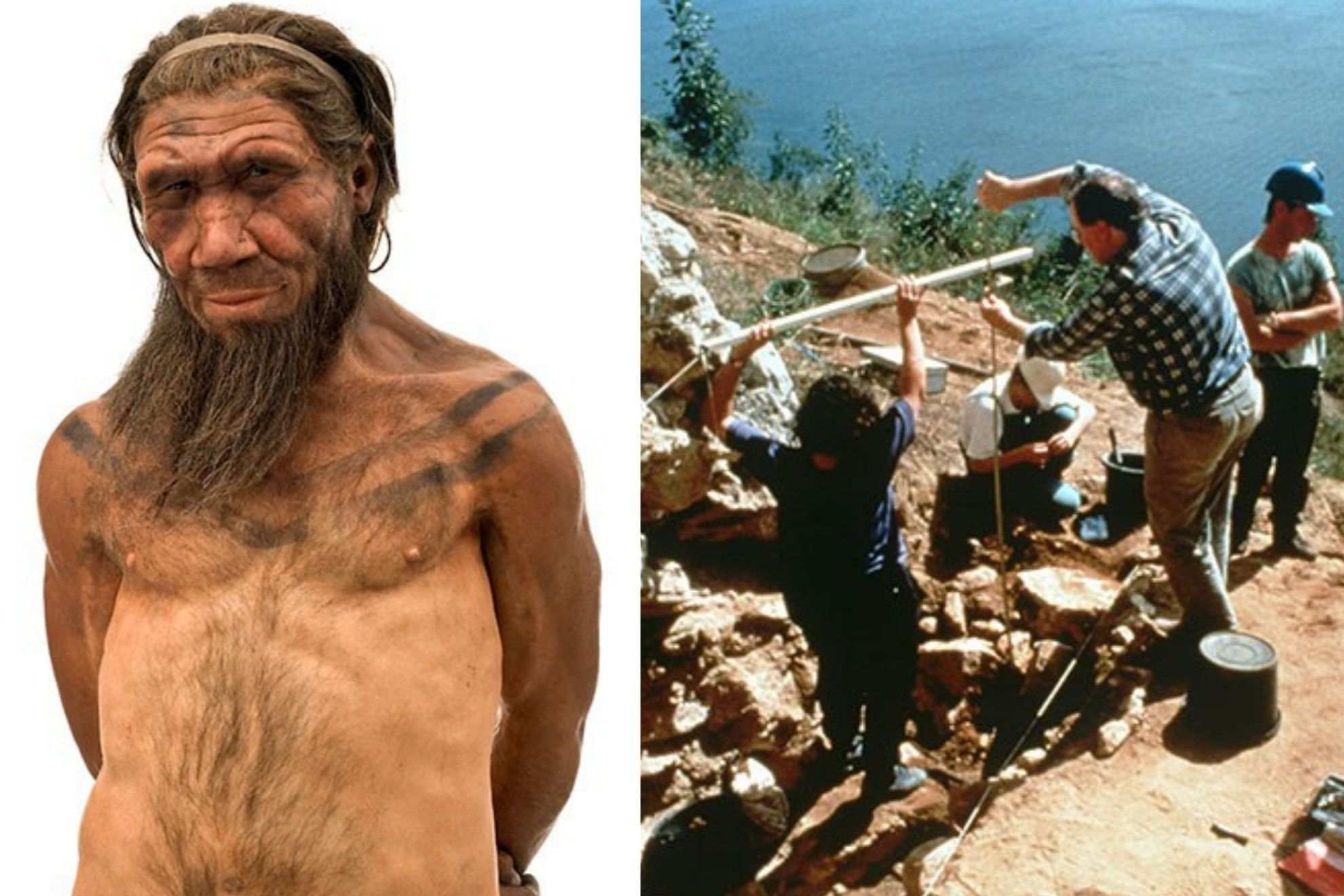 The first Neanderthal discovery sparked some truly wild theories Natural History Museum