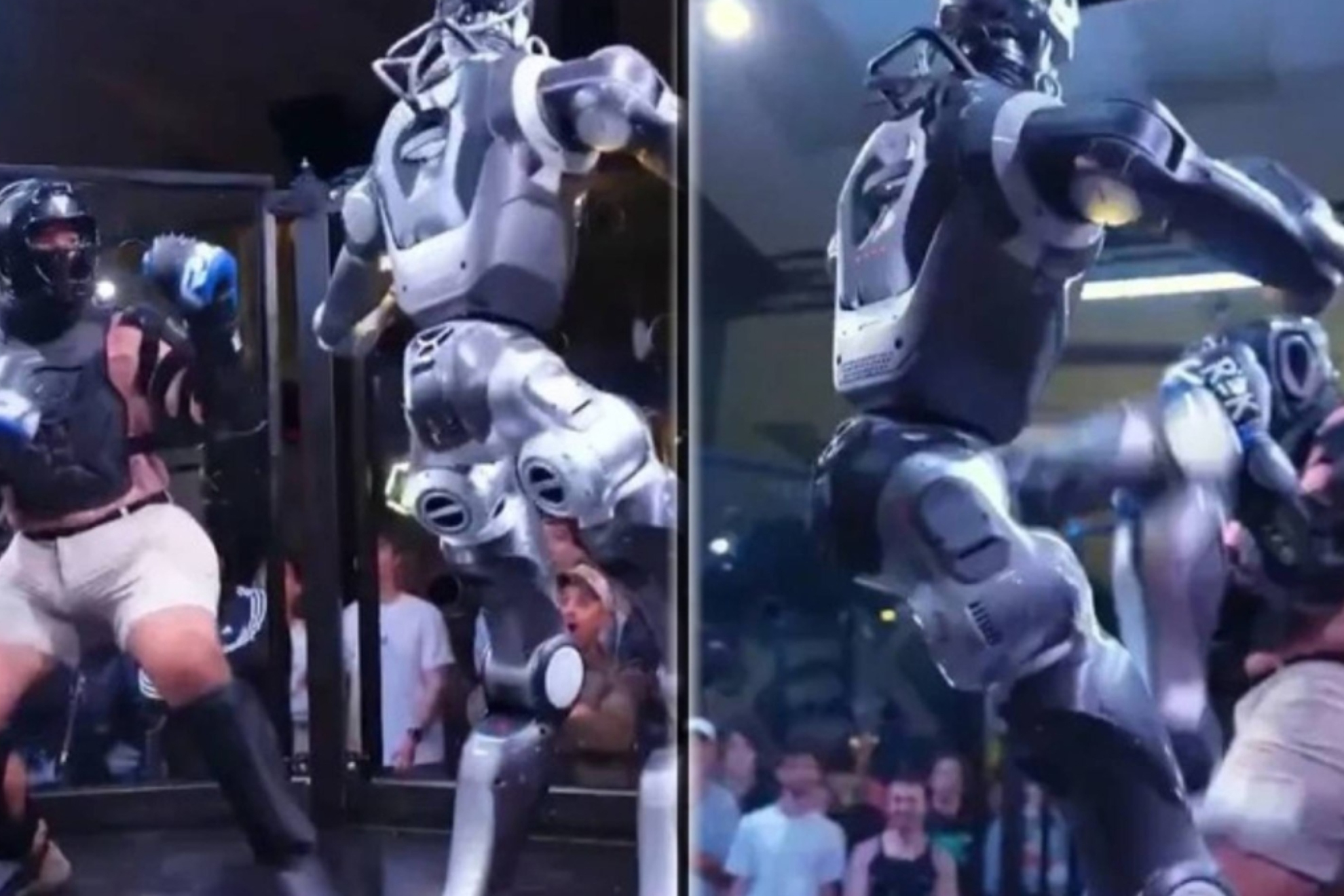 MMA