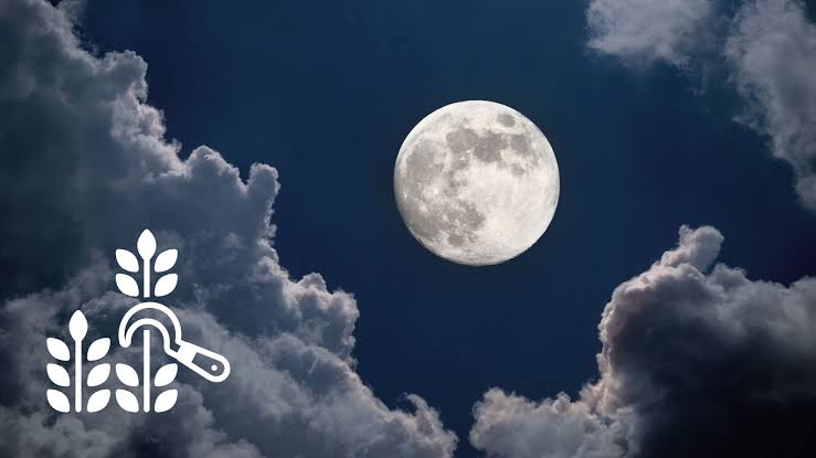 September's last full moon will light up the Mexican sky this weekend, accompanied by other key players from the Solar System. SPECIAL @gettysignature