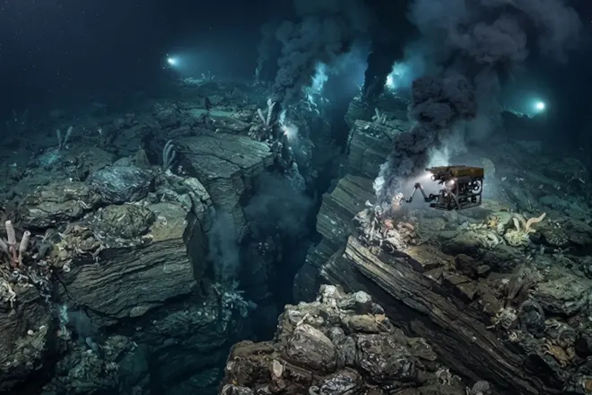 The Earth has begun to break apart beneath the Pacific.