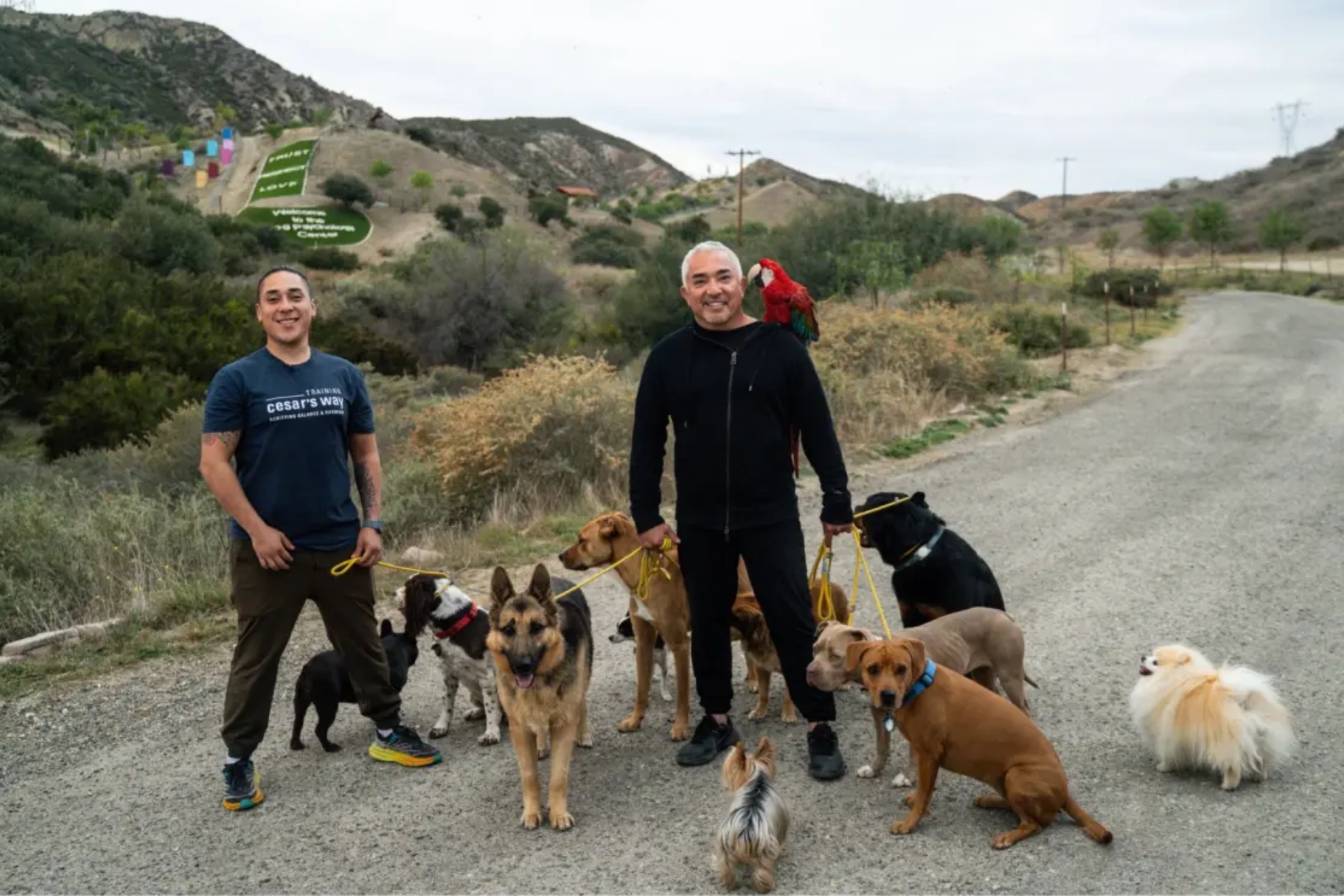 Cesar Millan, dog trainer