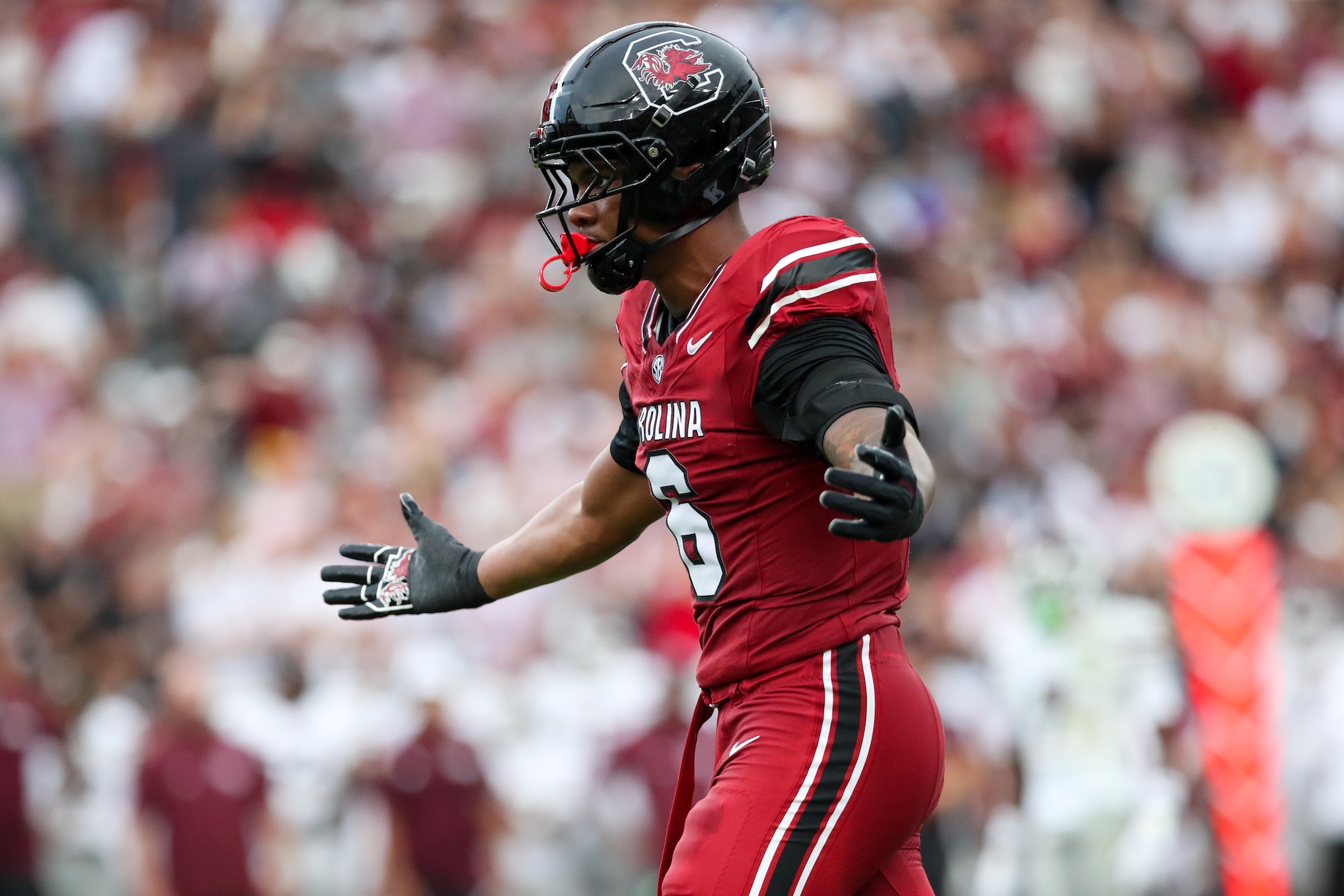 South Carolina defensive end Dylan Stewart LAPRESSE
