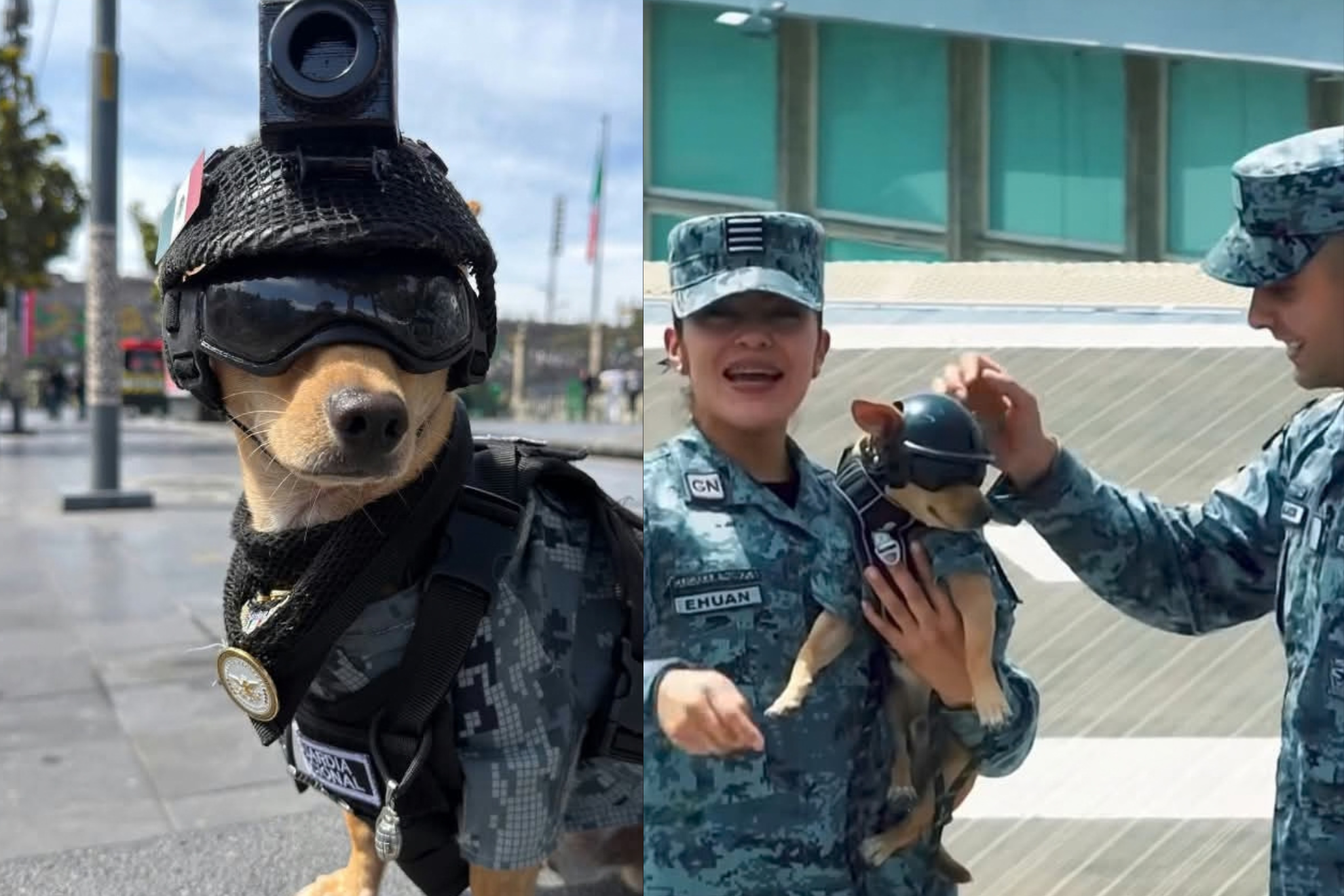 Tweeter Comando 'Comando, Mexico's new