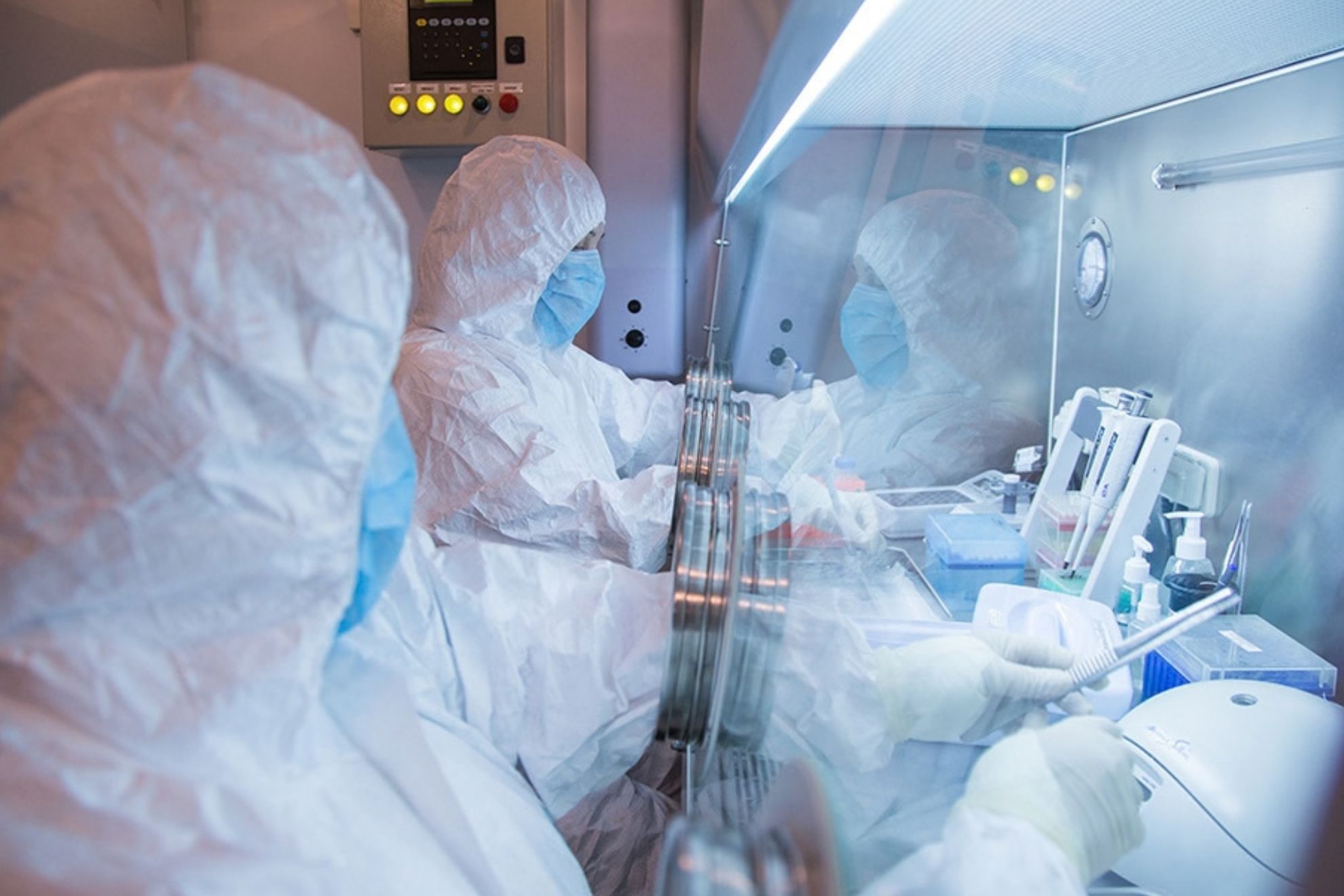 This undated photo released in 2019 by the Irkutsk Anti-Plague Research Institute of Siberia