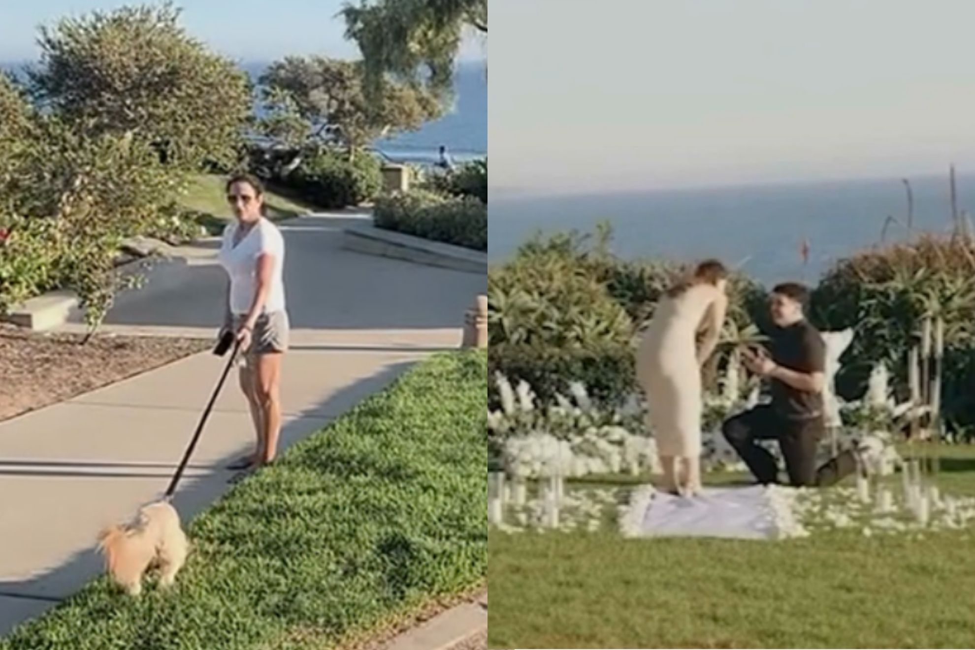 Woman interrupts marriage proposal Social Media
