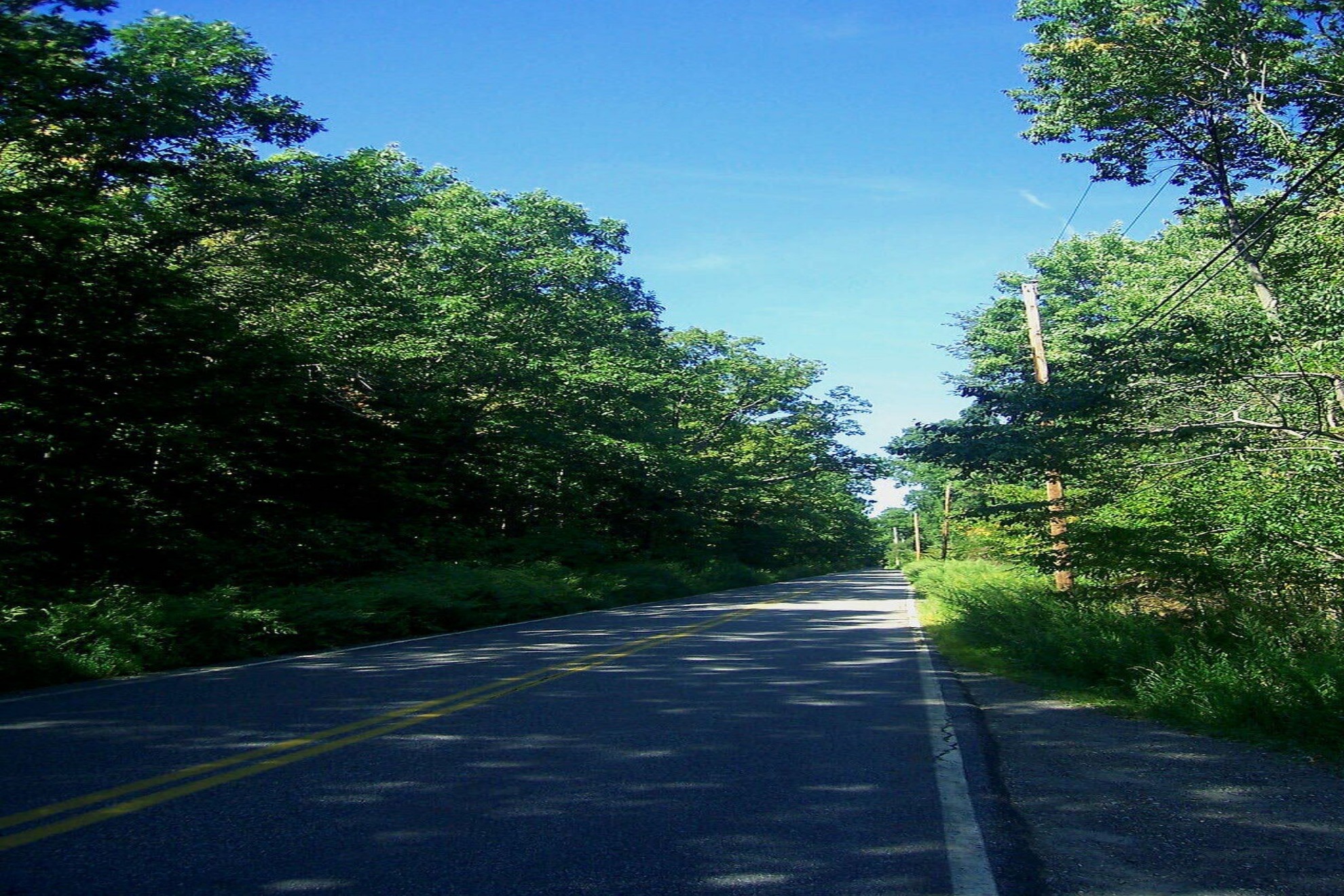 Clinton Road, Passaic County, New York Daniel Case