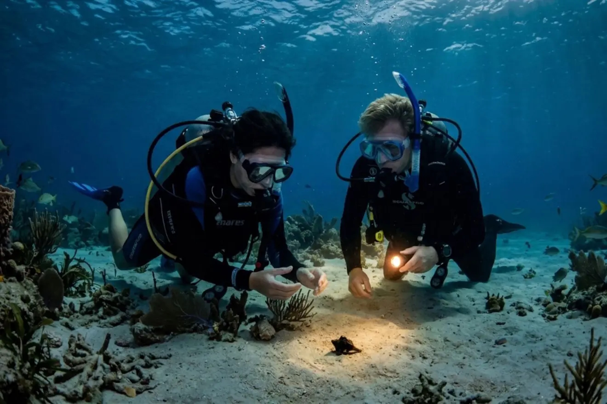 Divers. Gemini