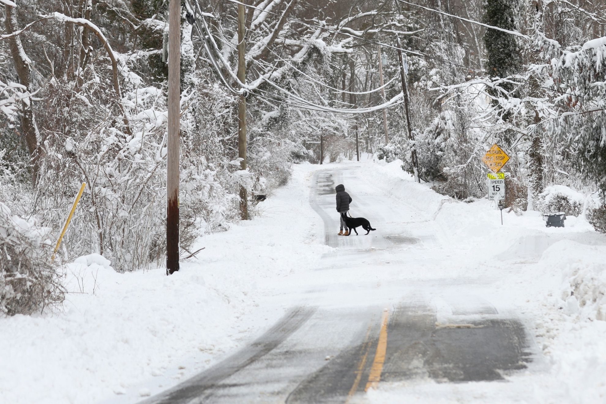 A man walks a dog down a road Feb. 23, 2026, in St. James, N.Y. (AP Photo/Heather Khalifa, File)